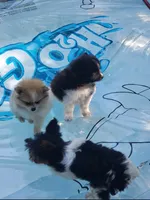 processed/c60725d7-adf8-4b52-ac72-d995e0e00921/facility/46ba9cb3-35ee-4d97-996b-e3f07e7cf3bb