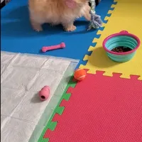 processed/c60725d7-adf8-4b52-ac72-d995e0e00921/facility/5dc139a1-c019-4839-814b-fcb790b0ffec