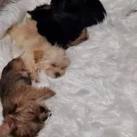 processed/c60725d7-adf8-4b52-ac72-d995e0e00921/facility/6b1b191f-2651-4faf-8513-4be31c8fc04f