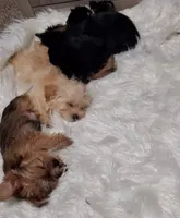 processed/c60725d7-adf8-4b52-ac72-d995e0e00921/facility/6b1b191f-2651-4faf-8513-4be31c8fc04f