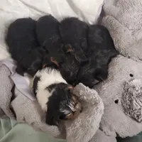 processed/c60725d7-adf8-4b52-ac72-d995e0e00921/facility/749219ce-d0ce-40a9-a8ce-ea8adba7614f