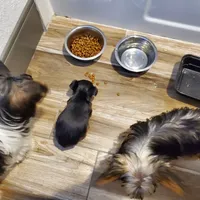 processed/c60725d7-adf8-4b52-ac72-d995e0e00921/facility/99714f29-ce76-4a30-8ccf-bd01f6e5a53b