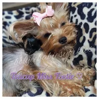 processed/c60725d7-adf8-4b52-ac72-d995e0e00921/facility/a2f7e19a-ac33-400b-8a51-6894c4624f5a