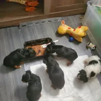 processed/c60725d7-adf8-4b52-ac72-d995e0e00921/facility/dd6e3aef-bf46-43ca-895b-a0842a1fbd32