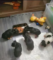 processed/c60725d7-adf8-4b52-ac72-d995e0e00921/facility/dd6e3aef-bf46-43ca-895b-a0842a1fbd32