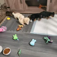 processed/c60725d7-adf8-4b52-ac72-d995e0e00921/facility/ebdef7ba-7e28-4db3-b0d5-351332b456ea