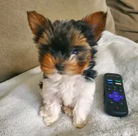 processed/c60725d7-adf8-4b52-ac72-d995e0e00921/facility/fecf1b4b-e486-4c1e-bf73-452bfa571f62