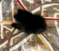 Lil' Stanley, a male Pomeranian for sale in Dallas, TX – 7 of 9