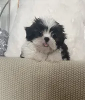 processed/c60725d7-adf8-4b52-ac72-d995e0e00921/listing/5f79b5aa-aee7-438c-91e1-41b88bd0b238/4a44719a-ac0e-4edd-b9f9-cbbd86795194