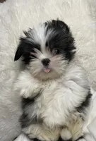 processed/c60725d7-adf8-4b52-ac72-d995e0e00921/listing/5f79b5aa-aee7-438c-91e1-41b88bd0b238/c3acc8f6-978a-45b1-aafc-1731300d727b