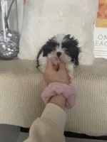 processed/c60725d7-adf8-4b52-ac72-d995e0e00921/listing/5f79b5aa-aee7-438c-91e1-41b88bd0b238/f770475e-30e6-40c7-884f-1734e1a1b9a5