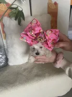 processed/c60725d7-adf8-4b52-ac72-d995e0e00921/listing/6b79aadd-07e7-4aa6-93b1-ab3cf26abbf8/6f750613-e956-4b16-951a-766f8a0edc5f