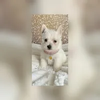 processed/c60725d7-adf8-4b52-ac72-d995e0e00921/listing/6b79aadd-07e7-4aa6-93b1-ab3cf26abbf8/b61e5fe0-566f-4cb2-93db-c47831e43eb6