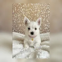 processed/c60725d7-adf8-4b52-ac72-d995e0e00921/listing/71fff8aa-e7e4-43cf-b150-e7b8eda2be6a/28d036c7-064b-490d-9a17-8ed12fde7681