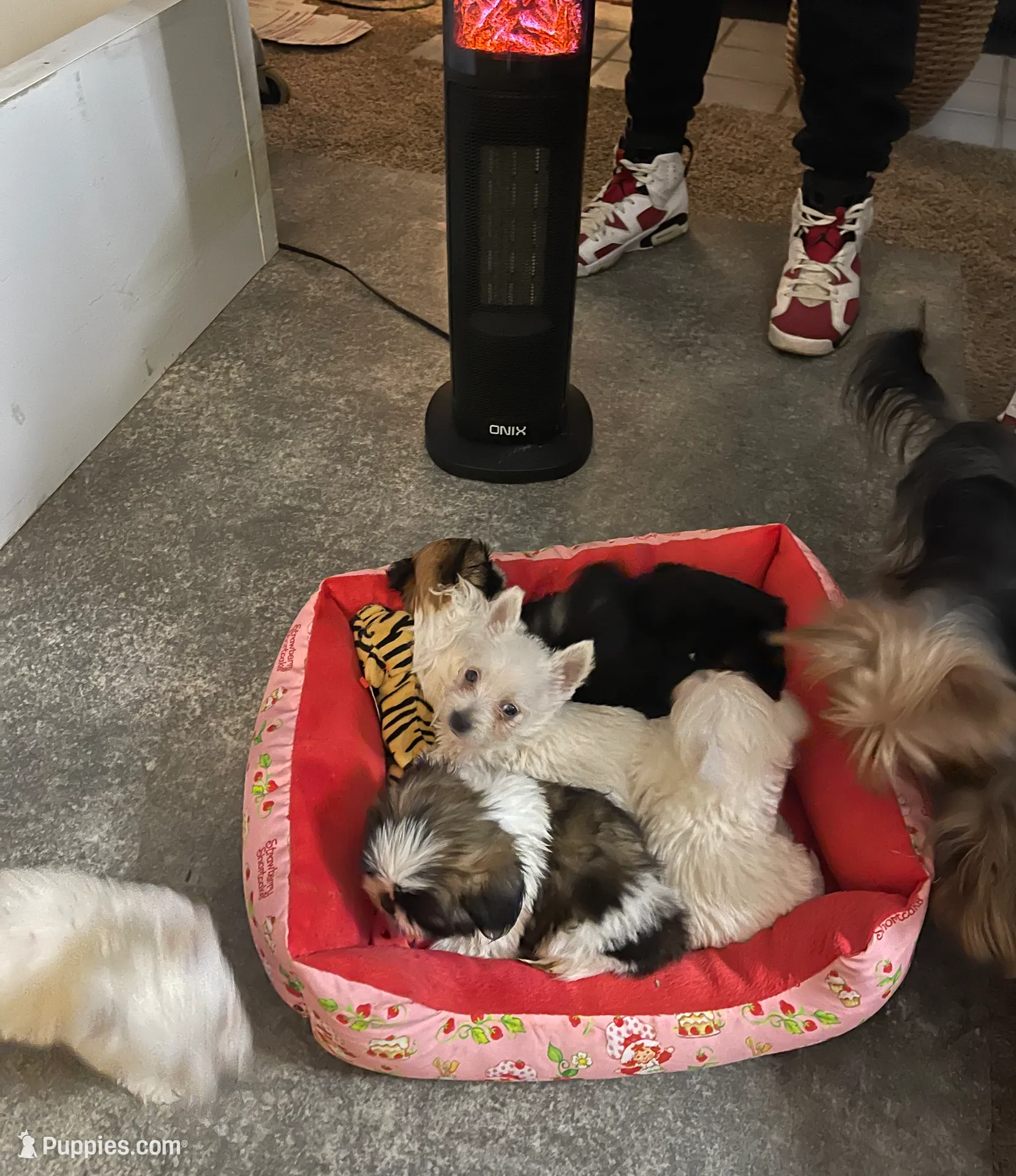 processed/c60725d7-adf8-4b52-ac72-d995e0e00921/listing/71fff8aa-e7e4-43cf-b150-e7b8eda2be6a/3aa8654e-3f0c-4da1-9c38-4e688670c635