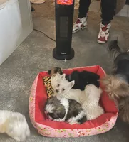 processed/c60725d7-adf8-4b52-ac72-d995e0e00921/listing/71fff8aa-e7e4-43cf-b150-e7b8eda2be6a/6663842e-ca4f-4c6c-8420-5cab81801752