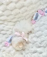 Micro Vivian, a female Pomeranian for sale in Dallas, TX – Photo 5 of 10