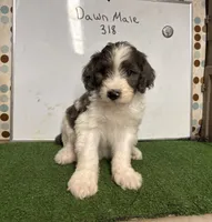 processed/c60a1ea0-d386-4114-9fa9-ecf18ceea32a/listing/07e9b58d-7f3b-4166-b194-c7b7f7c0d288/199be78e-ee7a-463a-bb25-ce7f4100f951