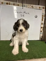 processed/c60a1ea0-d386-4114-9fa9-ecf18ceea32a/listing/07e9b58d-7f3b-4166-b194-c7b7f7c0d288/b942a68a-4f3c-43ad-9b4b-4dbd7fe8a370