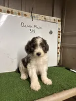 processed/c60a1ea0-d386-4114-9fa9-ecf18ceea32a/listing/07e9b58d-7f3b-4166-b194-c7b7f7c0d288/e52ea711-44c7-4ee7-85e3-fed585ecaf16