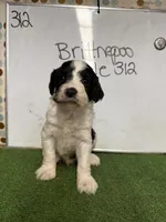 processed/c60a1ea0-d386-4114-9fa9-ecf18ceea32a/listing/26eb31a5-629a-46cc-ba49-becf65e1de9c/929cc03a-fcfd-4806-be8a-5cf0c8b966fb