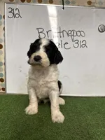 processed/c60a1ea0-d386-4114-9fa9-ecf18ceea32a/listing/26eb31a5-629a-46cc-ba49-becf65e1de9c/c31d10d3-f452-4ccc-8347-34c78a978e42