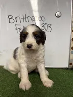 processed/c60a1ea0-d386-4114-9fa9-ecf18ceea32a/listing/b833cd13-c511-4eca-bf73-fab3c909f514/6b0acc51-f85b-4bd7-8ef0-80f28255132f