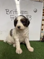 processed/c60a1ea0-d386-4114-9fa9-ecf18ceea32a/listing/b833cd13-c511-4eca-bf73-fab3c909f514/84cd8579-57d5-428a-a3f5-7f26155489e3