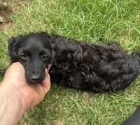 processed/c60df9b7-403f-4cb7-bacd-c14313a020e8/listing/4a02e07f-75a8-4794-b005-4788009eae80/071ffb05-c4e4-40eb-a3be-3bf312d9c71a