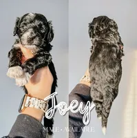 processed/c616c09c-9473-4759-8f26-83a9b9b29862/listing/bb296c59-7fb0-49aa-a522-265a715ddb8a/78996c0b-90bc-4b7a-8659-49275035394f