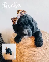 processed/c616c09c-9473-4759-8f26-83a9b9b29862/listing/c3a7fbe4-ce19-4de6-a3ea-4994dbb9a410/e0b8d007-6509-4161-8b7f-47968b90ed48