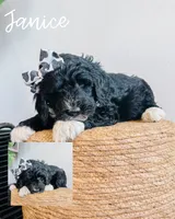 processed/c616c09c-9473-4759-8f26-83a9b9b29862/listing/c5d39f08-18b2-4c2a-bef9-e7c8e8a675d9/2c1cab23-9f92-4953-9ea2-d623c5688e7d