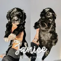 processed/c616c09c-9473-4759-8f26-83a9b9b29862/listing/c5d39f08-18b2-4c2a-bef9-e7c8e8a675d9/6915e383-6b5b-474a-8d19-8be48496a4f2