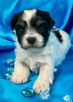 processed/c618a42c-7e31-4ec1-8972-08ee7895d5f7/listing/95253f39-a2a4-4ca9-979c-5e134359ae1e/ac7df487-c239-4cb9-8114-8f938e2cb3ee