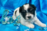 processed/c618a42c-7e31-4ec1-8972-08ee7895d5f7/listing/95253f39-a2a4-4ca9-979c-5e134359ae1e/defa5954-e978-41e9-8327-77438acc530d