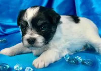 processed/c618a42c-7e31-4ec1-8972-08ee7895d5f7/listing/95253f39-a2a4-4ca9-979c-5e134359ae1e/e0260602-5235-4551-a81e-8ebab7e407a3