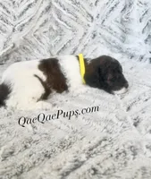 processed/c61d9d95-c92c-4aec-a575-288aebd3b233/listing/1af07cbe-c651-4585-aa2d-9ff0e7af5d73/045cf31c-16d8-48e6-9c03-0e99f1d08569