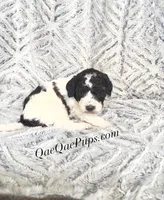 processed/c61d9d95-c92c-4aec-a575-288aebd3b233/listing/1af07cbe-c651-4585-aa2d-9ff0e7af5d73/5112d80b-4ec4-4272-aa8d-87a93d4a7364