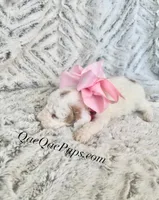 processed/c61d9d95-c92c-4aec-a575-288aebd3b233/listing/1af07cbe-c651-4585-aa2d-9ff0e7af5d73/8185d025-d8df-4824-a8b1-0b2ec7d4ca67