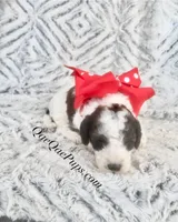 processed/c61d9d95-c92c-4aec-a575-288aebd3b233/listing/1af07cbe-c651-4585-aa2d-9ff0e7af5d73/df08dddf-67aa-495e-97de-a0c673397a89