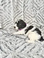 processed/c61d9d95-c92c-4aec-a575-288aebd3b233/listing/1af07cbe-c651-4585-aa2d-9ff0e7af5d73/ef7c78c7-ee1d-46bd-a9a8-41efd252eb57