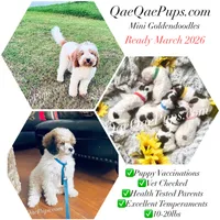 processed/c61d9d95-c92c-4aec-a575-288aebd3b233/listing/1af07cbe-c651-4585-aa2d-9ff0e7af5d73/f29365ac-3254-44a3-a43f-3d9033e64475