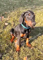 processed/c61d9d95-c92c-4aec-a575-288aebd3b233/listing/26f9ec32-63af-48ce-b991-1bc3e70701b5/0518734b-b2ec-42a9-9fc6-16dfdc9165a1