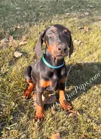 processed/c61d9d95-c92c-4aec-a575-288aebd3b233/listing/26f9ec32-63af-48ce-b991-1bc3e70701b5/7642a87a-f1d7-466b-a685-f432fc384ba4