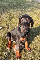 processed/c61d9d95-c92c-4aec-a575-288aebd3b233/listing/26f9ec32-63af-48ce-b991-1bc3e70701b5/7bb1d4f1-51c3-4108-b008-20c8ac622cef