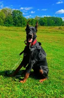 processed/c61d9d95-c92c-4aec-a575-288aebd3b233/listing/26f9ec32-63af-48ce-b991-1bc3e70701b5/a963ea7b-8d00-4c13-beb3-f17988783e43