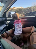 Gigi, a female Shih Tzu for sale in Oklahoma City, OK – Photo 5 of 10