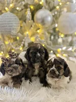 processed/c61ef6f8-2fe6-4464-b43b-e94dec27bc73/listing/1cdb1233-affd-4823-a647-9feaf28517d3/10047b1a-dcb1-4d28-abc7-b266c5297669