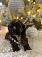 processed/c61ef6f8-2fe6-4464-b43b-e94dec27bc73/listing/1cdb1233-affd-4823-a647-9feaf28517d3/236603d1-cb0d-4d7d-a8b3-962947f7f430