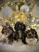 processed/c61ef6f8-2fe6-4464-b43b-e94dec27bc73/listing/1cdb1233-affd-4823-a647-9feaf28517d3/92269f2b-5087-42fd-927d-8ee649b4fe5b